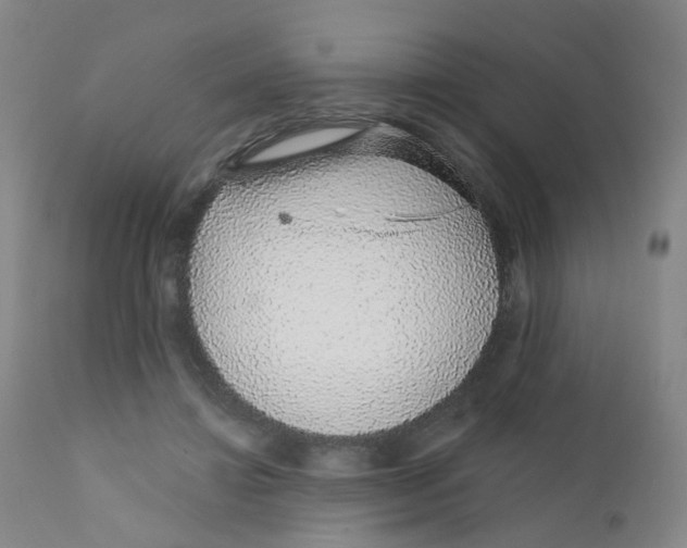 X0000111930452200908241119