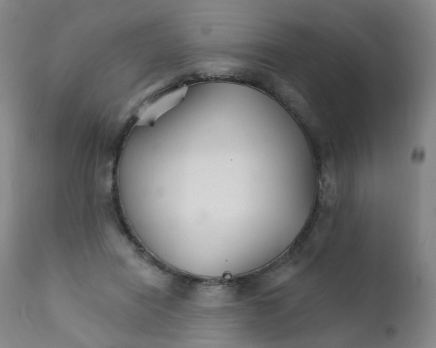 X0000111930454200908241119