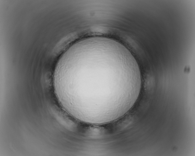 X0000111930455200908241119