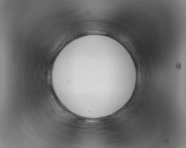 X0000111930457200908241119