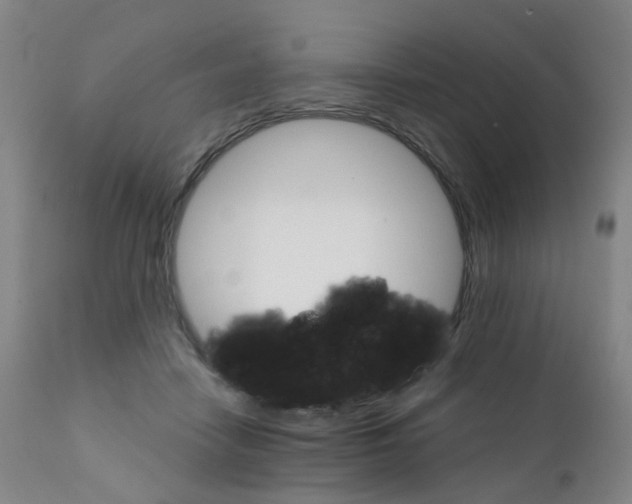 X0000111930458200908241119