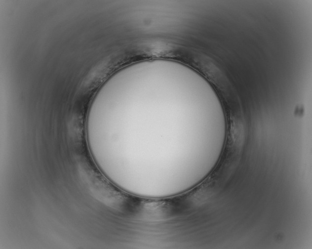 X0000111930461200908241120