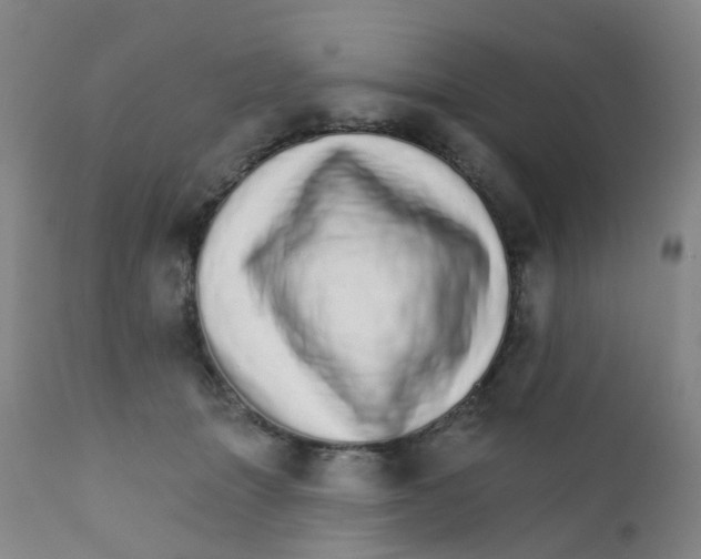 X0000111930463200908241120