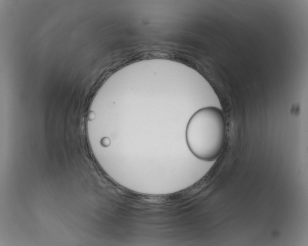 X0000111930466200908241120