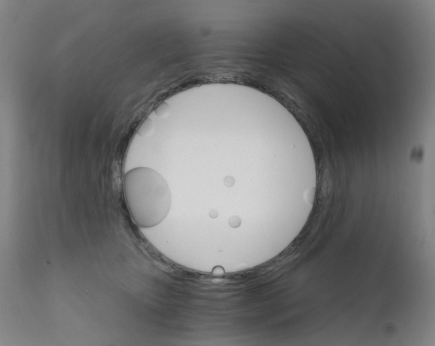 X0000111930467200908241120