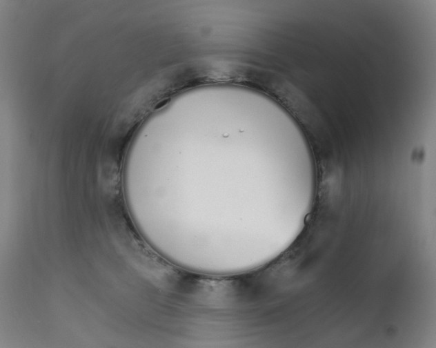 X0000111930469200908241120