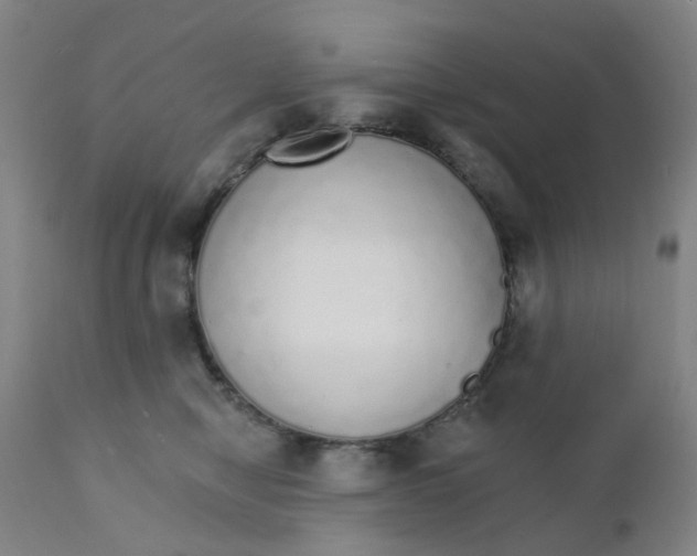 X0000111930470200908241120