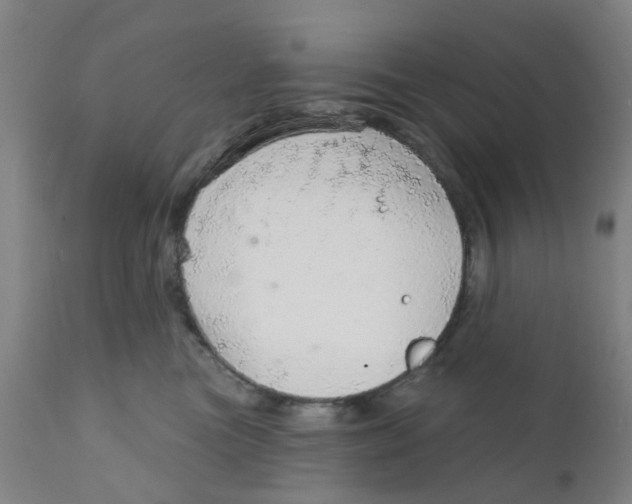 X0000111930473200908241120