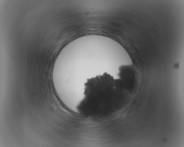 X0000111930474200908241120