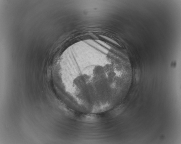 X0000111930475200908241120