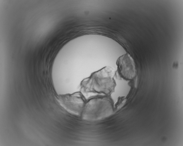 X0000111930477200908241120