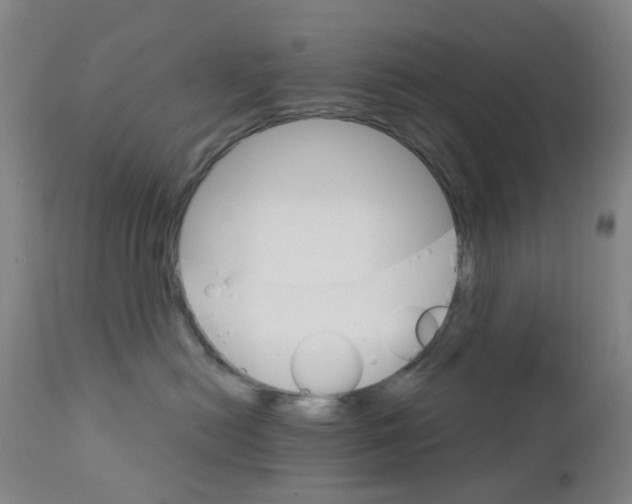 X0000111930478200908241120