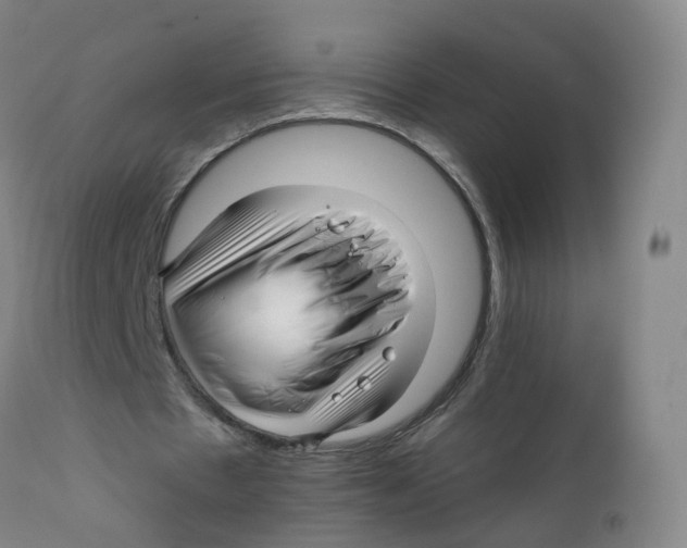 X0000111930481200908241119