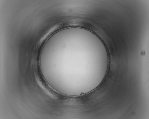 X0000111930482200908241119