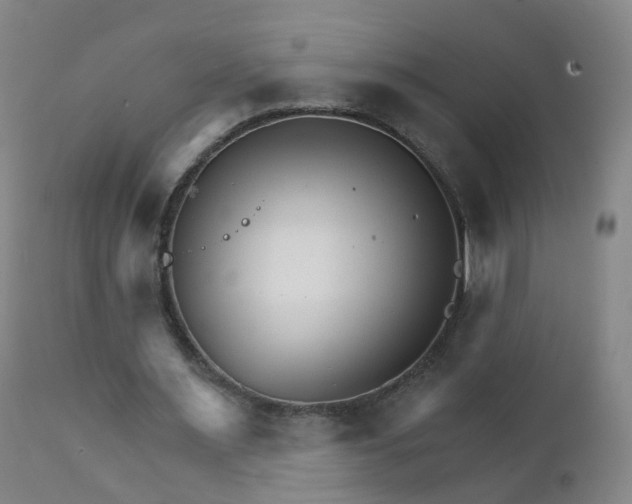 X0000111930483200908241119