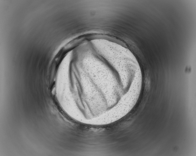 X0000111930484200908241119