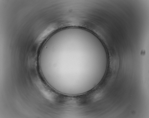 X0000111930486200908241119