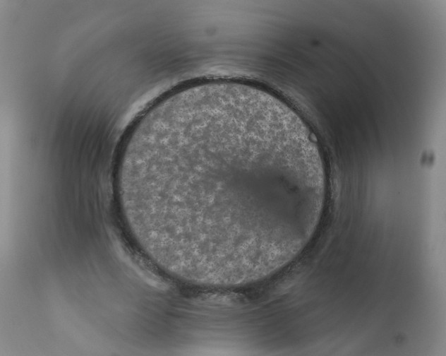 X0000111930488200908241119