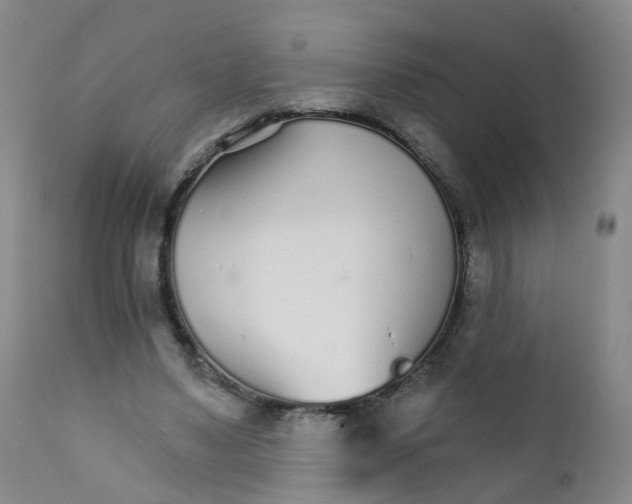 X0000111930491200908241119