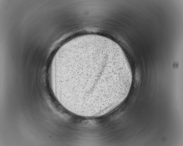 X0000111930492200908241119