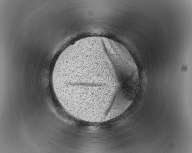 X0000111930496200908241119