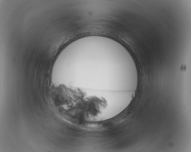 X0000111930499200908241119