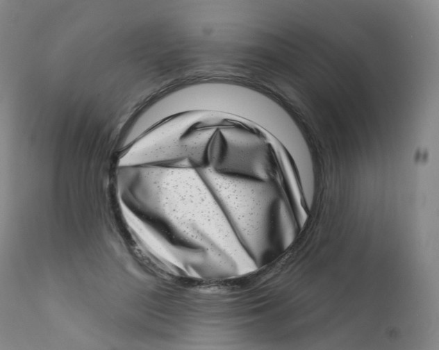 X0000111930500200908241119