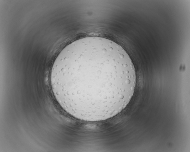 X0000111930502200908241119