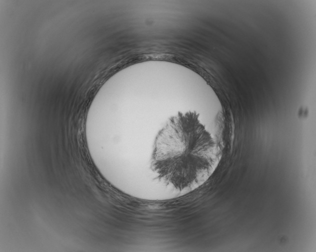 X0000111930503200908241119