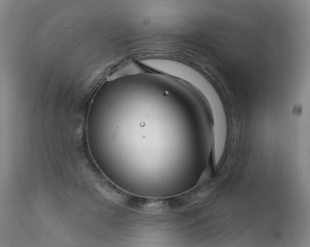 X0000111930505200908241119