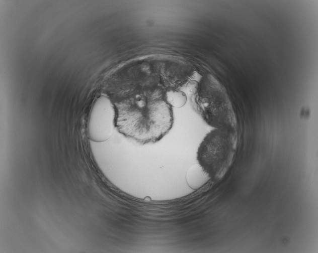 X0000111930507200908241119