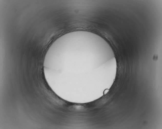 X0000111930509200908241119