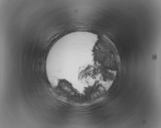 X0000111930511200908241119