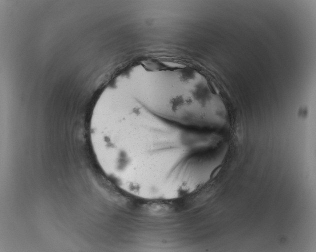 X0000111930512200908241119