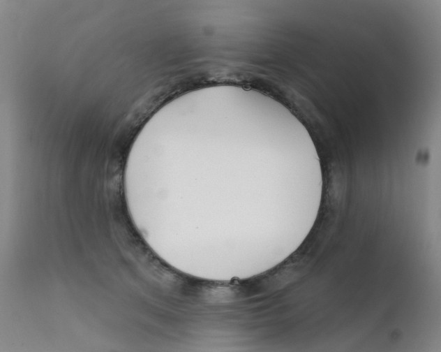 X0000111930513200908241119