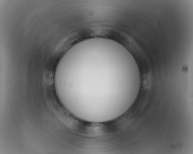 X0000111930514200908241119