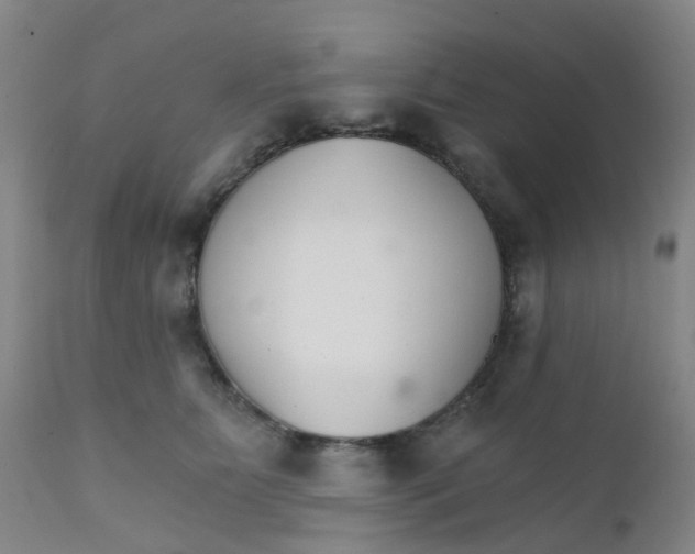 X0000111930515200908241119