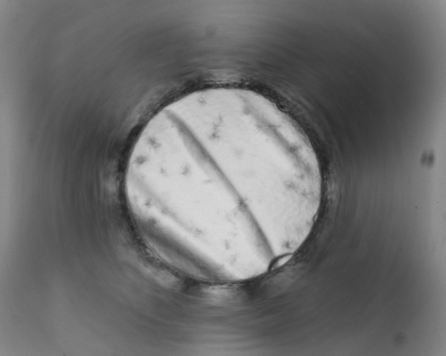 X0000111930516200908241119