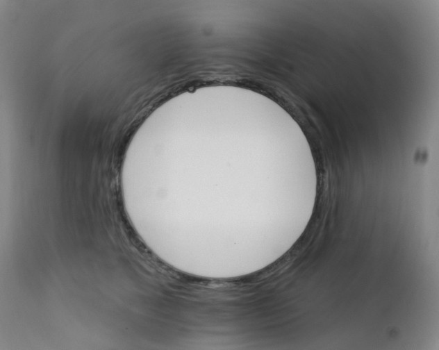 X0000111930517200908241119