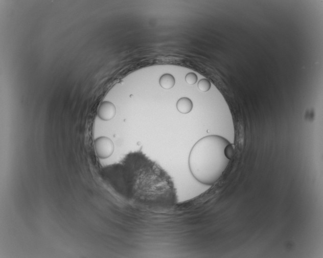 X0000111930519200908241119