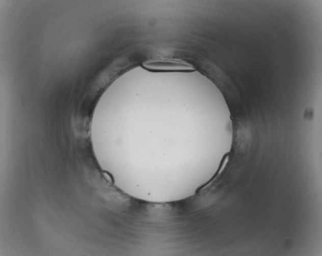 X0000111930525200908241119