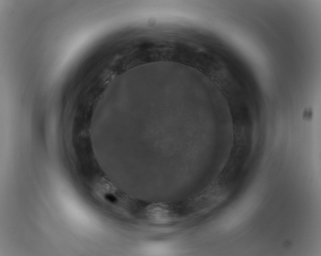 X0000111930526200908241119