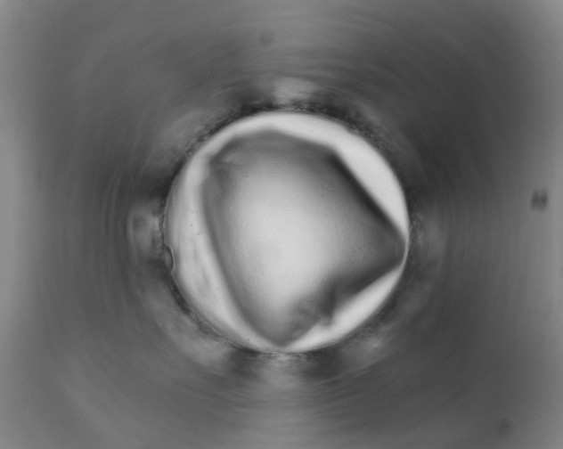 X0000111930527200908241118