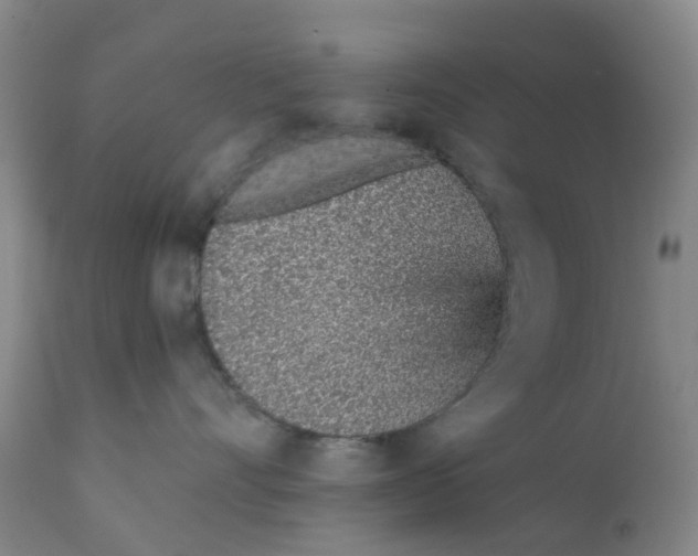 X0000111930528200908241118