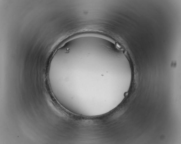 X0000111930530200908241118