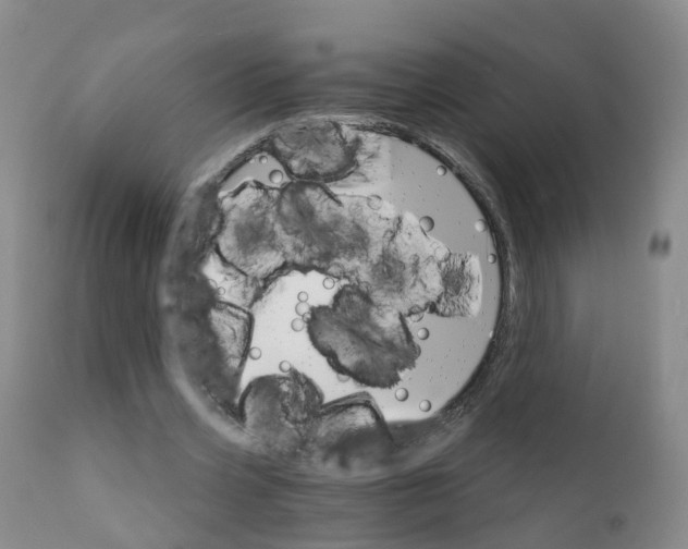 X0000111930533200908241118