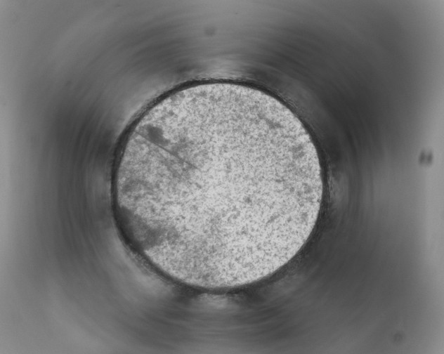 X0000111930534200908241118