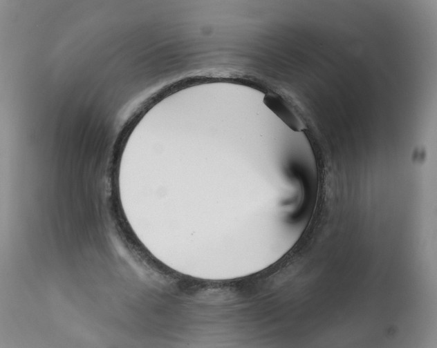 X0000111930536200908241118