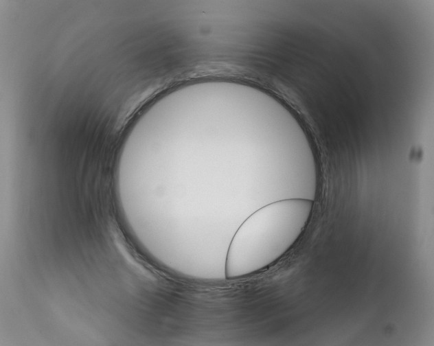 X0000111930538200908241118