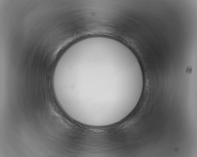 X0000111930539200908241118